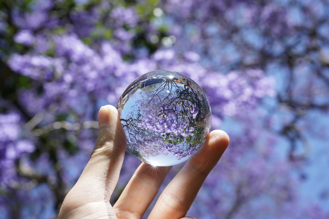 紫の花々を背景に水晶玉を手に持つ人